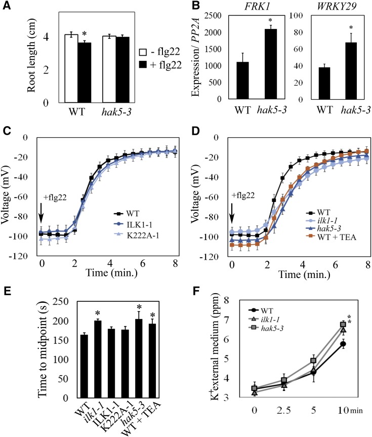 Figure 10.