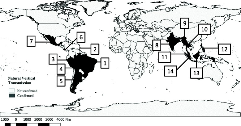 Fig. 3