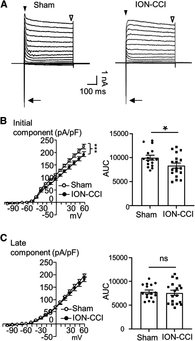 Figure 5.