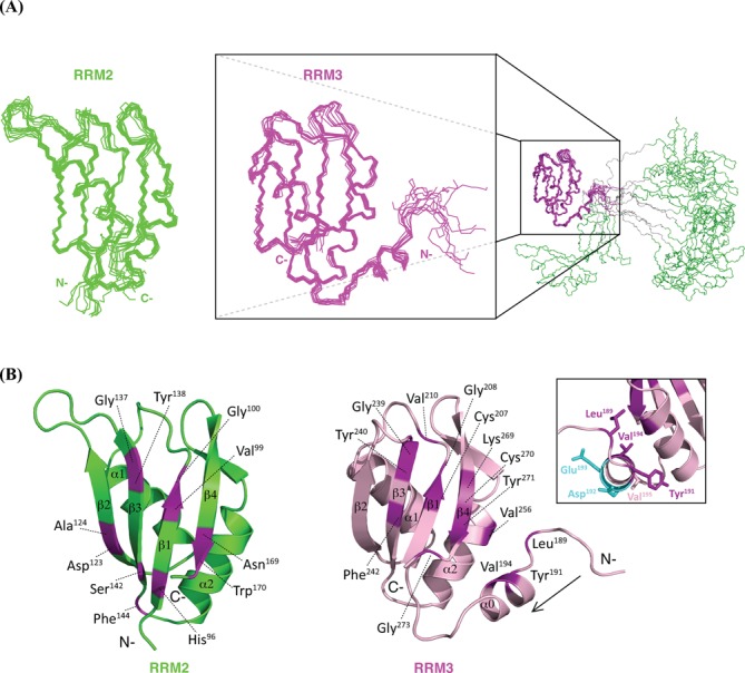 Figure 3.