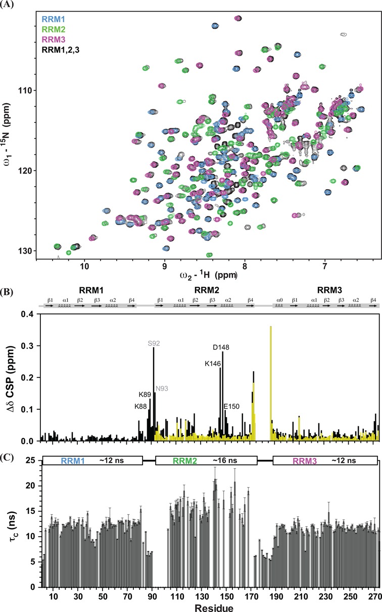 Figure 2.