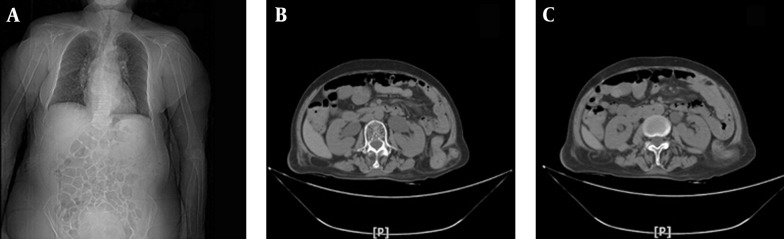 Figure 2.