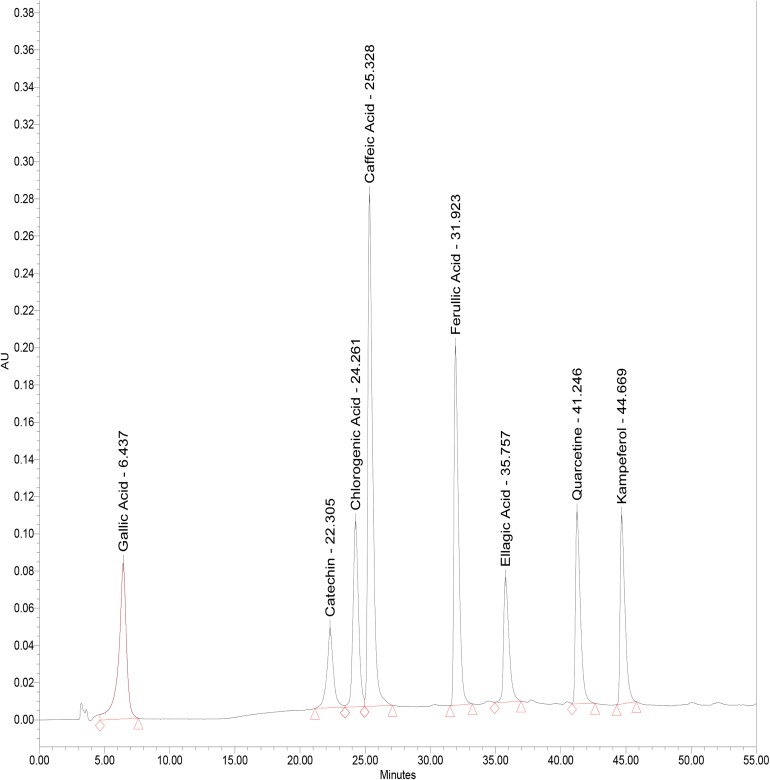 Fig. 1