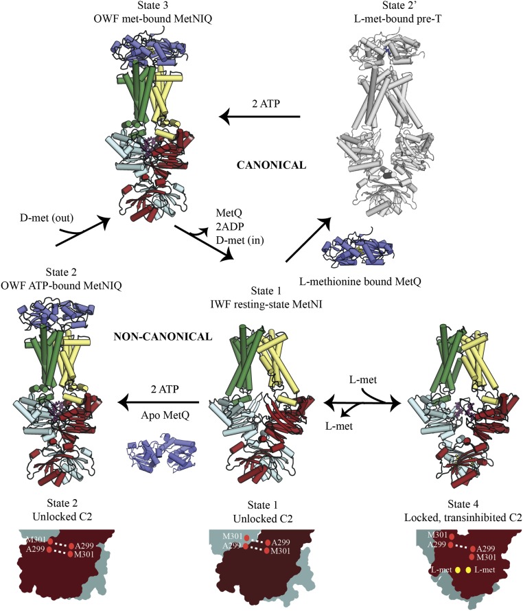 Fig. 8.