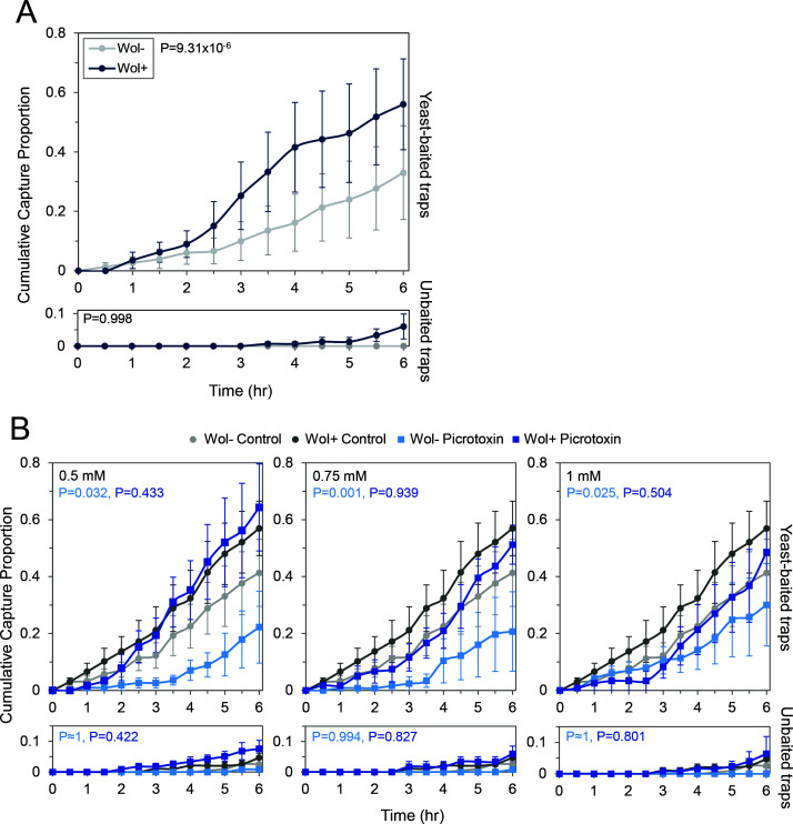 Cumulative capture proportion increases over time in yeast-baited traps, with Wolbachia-infected flies showing higher attraction. Picrotoxin reduces this effect dose-dependently. No significant difference occurs in unbaited traps across all groups.