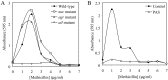 FIG 6