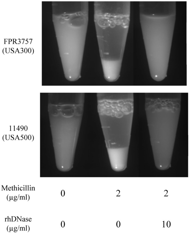 FIG 4 