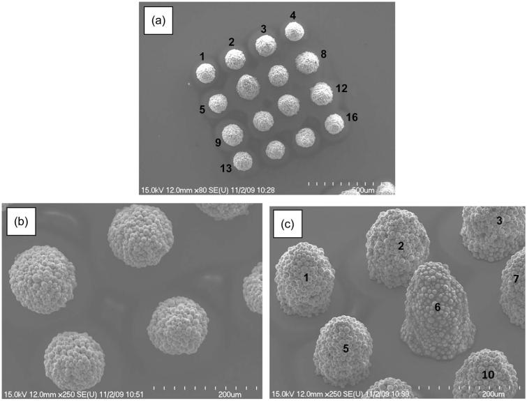 Fig. 15