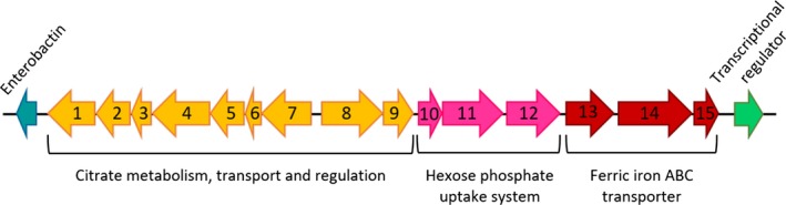 Figure 5