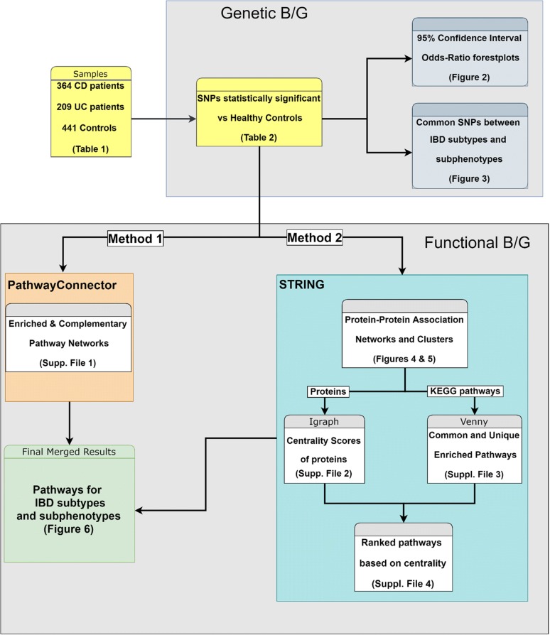 Fig. 1