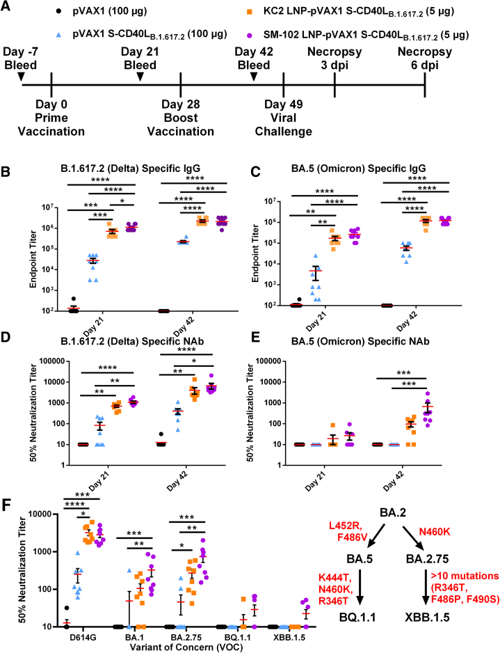 Figure 6