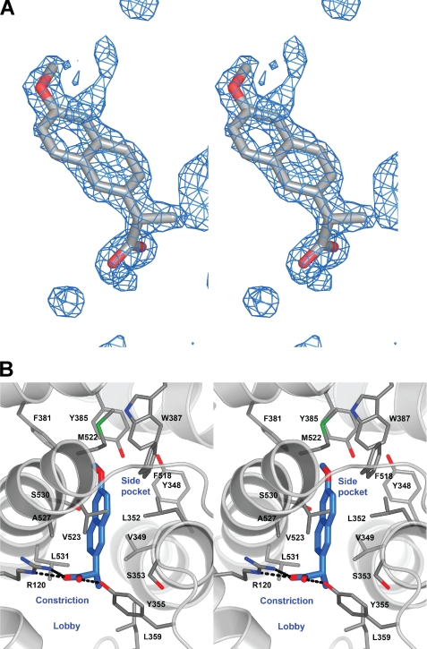 FIGURE 4.