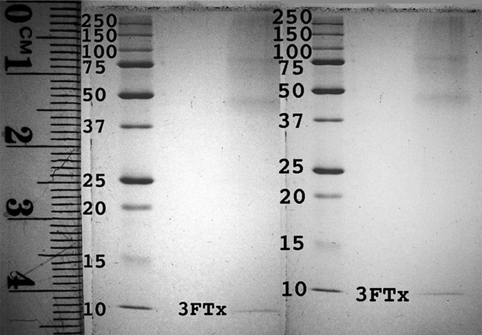 Fig. 11.