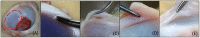 Fig 11