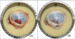 Fig 10