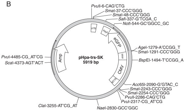 Figure 4.17.2