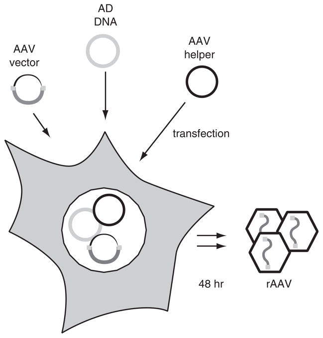 Figure 4.17.1