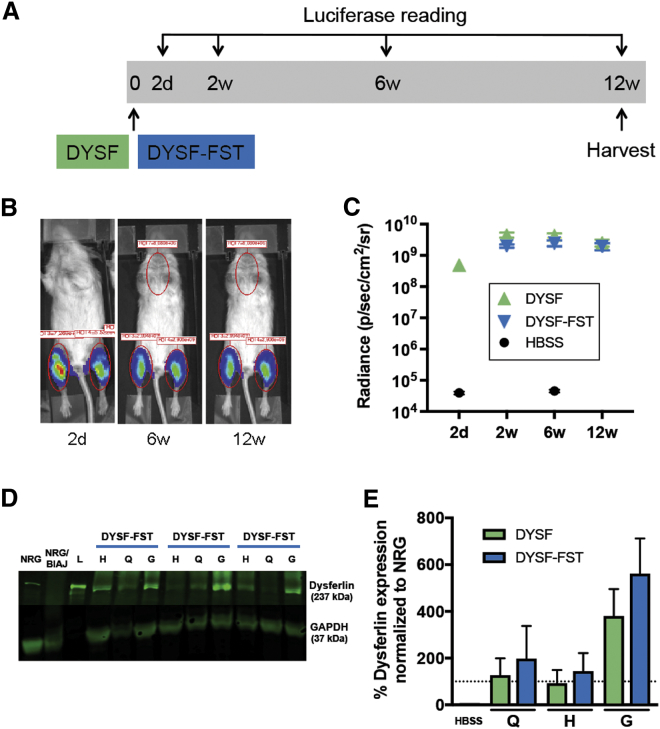 Figure 3