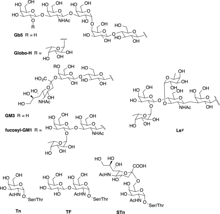 FIGURE 3