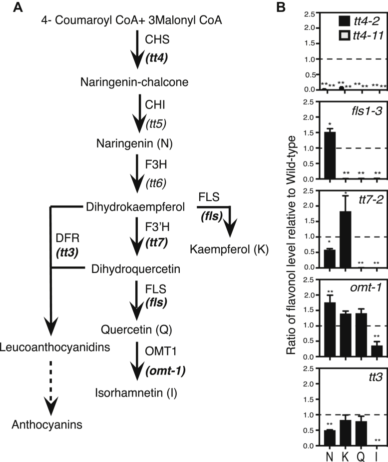 Figure 1