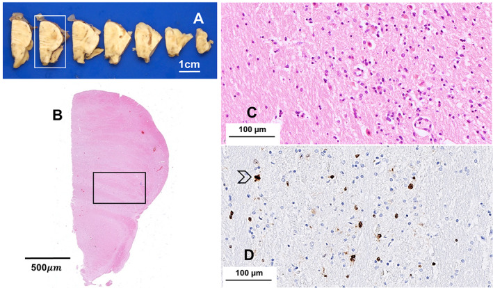 Fig 3