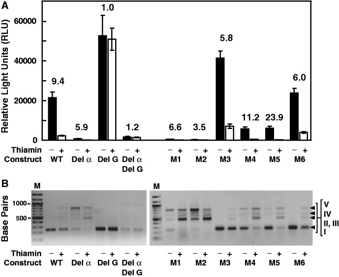 Figure 5.