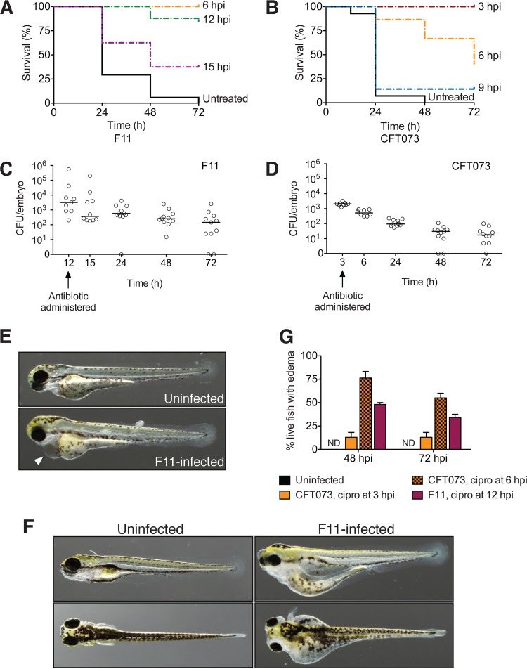 FIG 3 