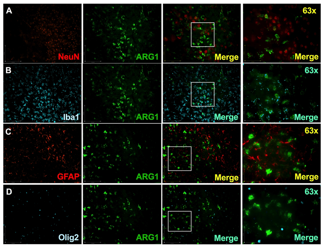 Figure 4: