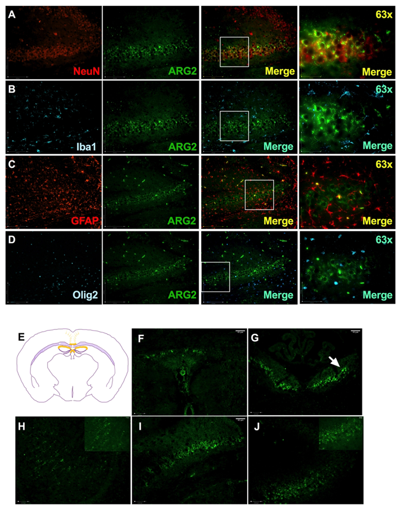 Figure 6: