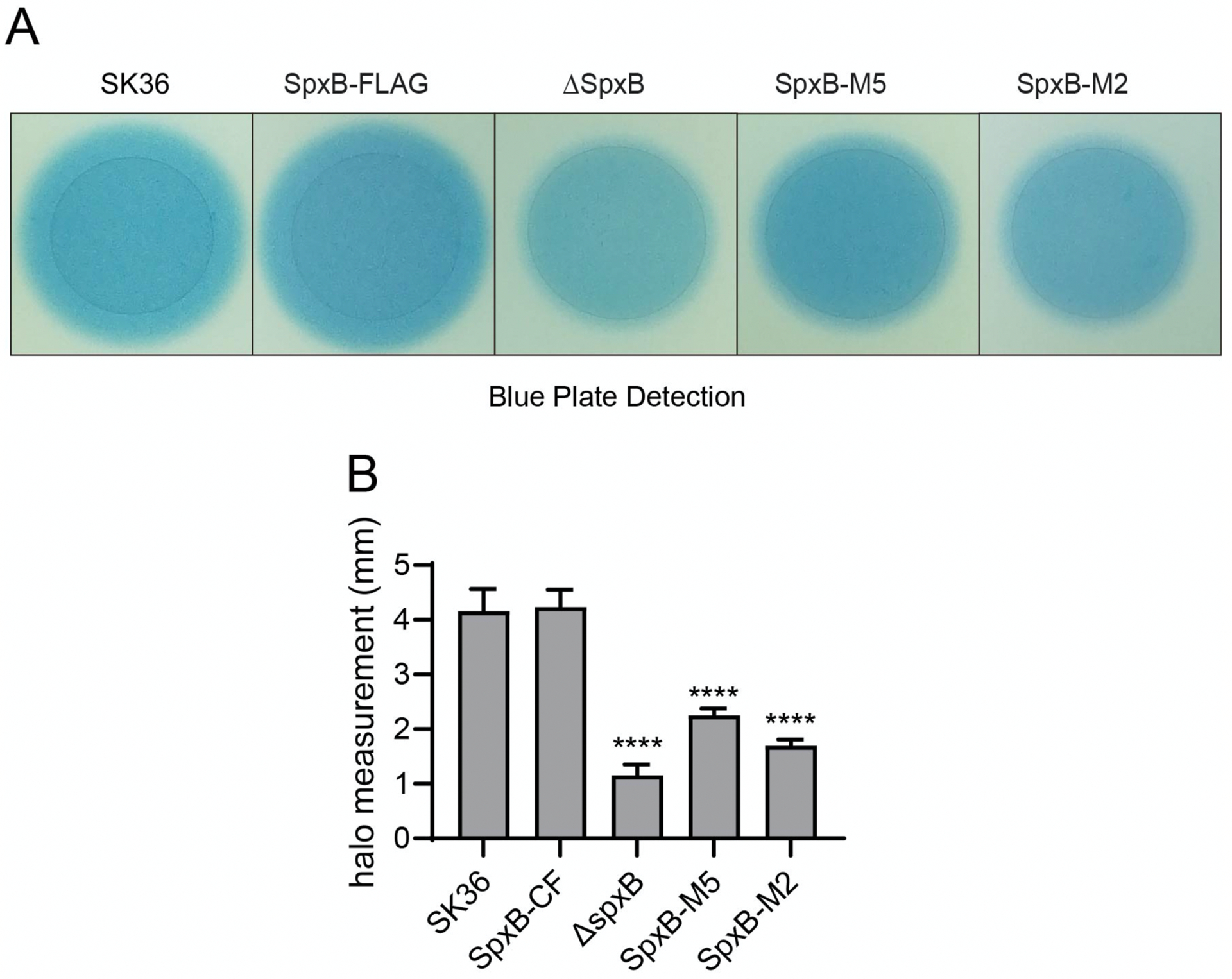 Fig. 4.