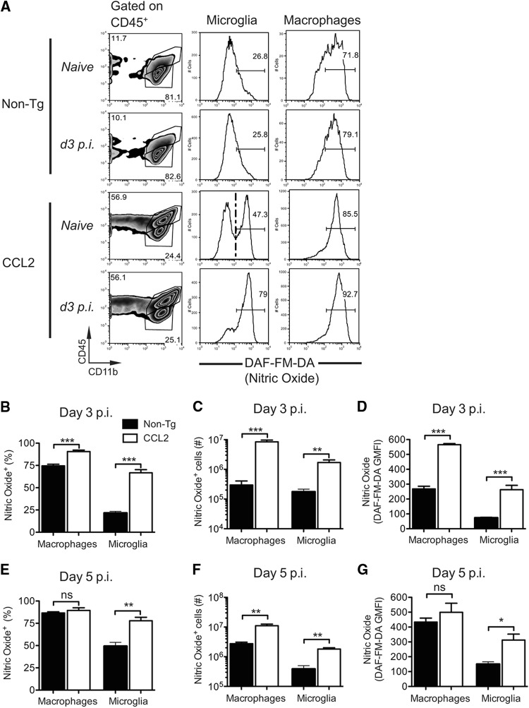 Fig 11