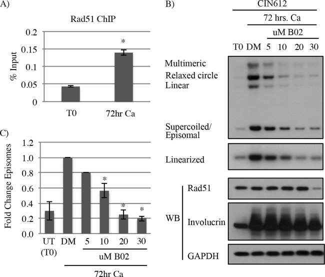 FIG 6