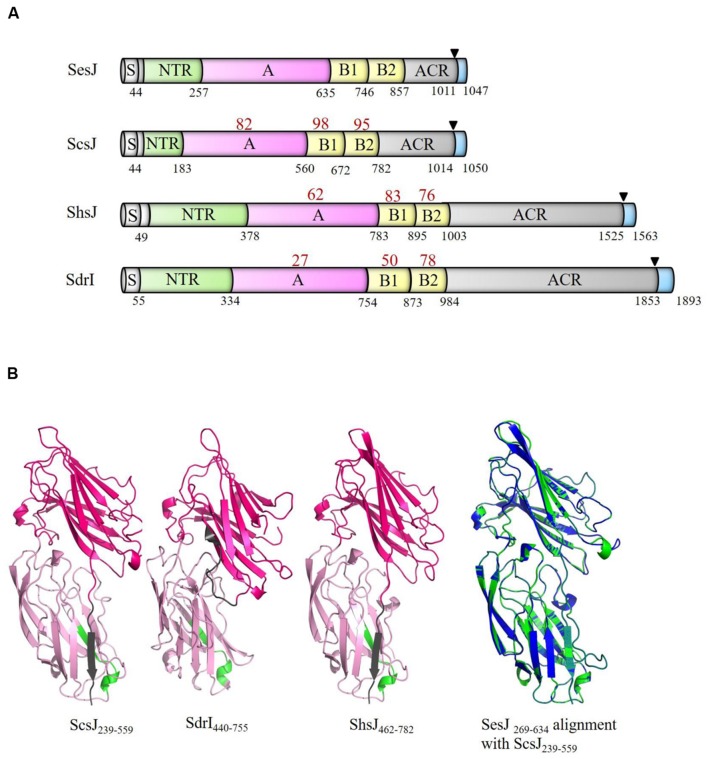 FIGURE 3