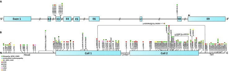 Fig. 3