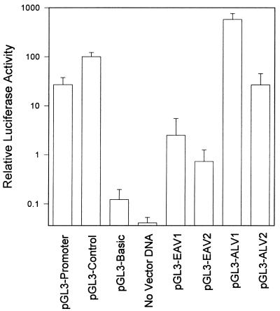 FIG. 7