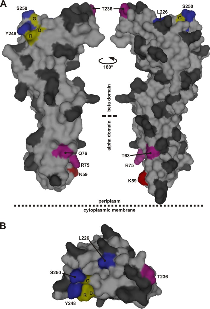 FIGURE 1.