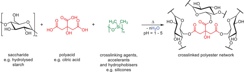 Scheme 8