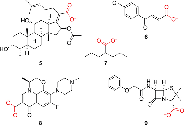 Figure 6.