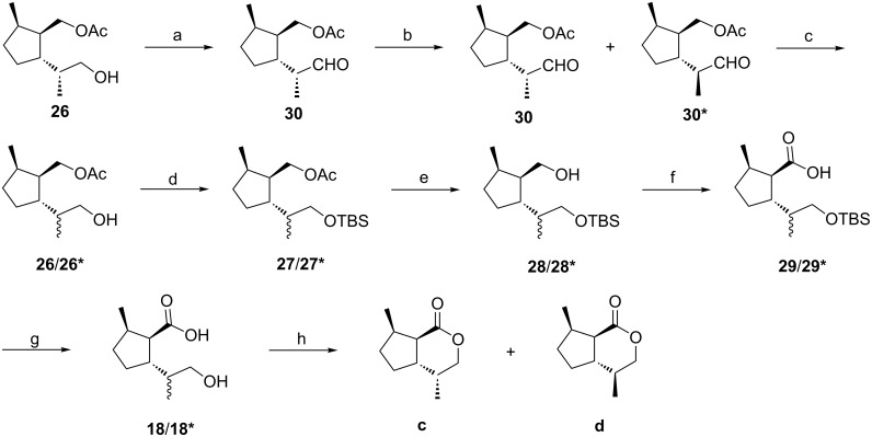 Scheme 5