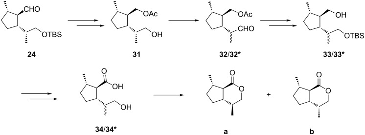 Scheme 6