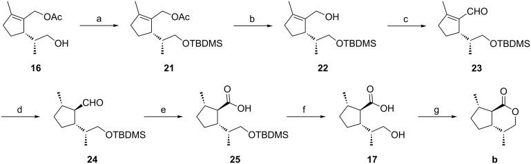 Scheme 3