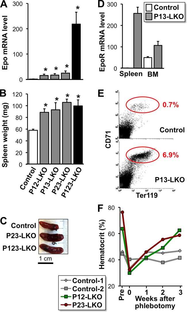 FIG 2