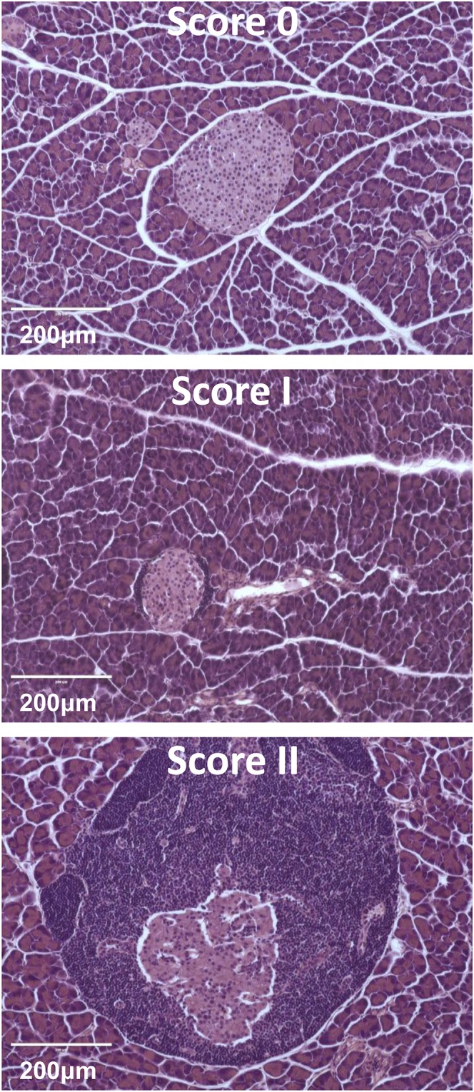 Fig. S1.