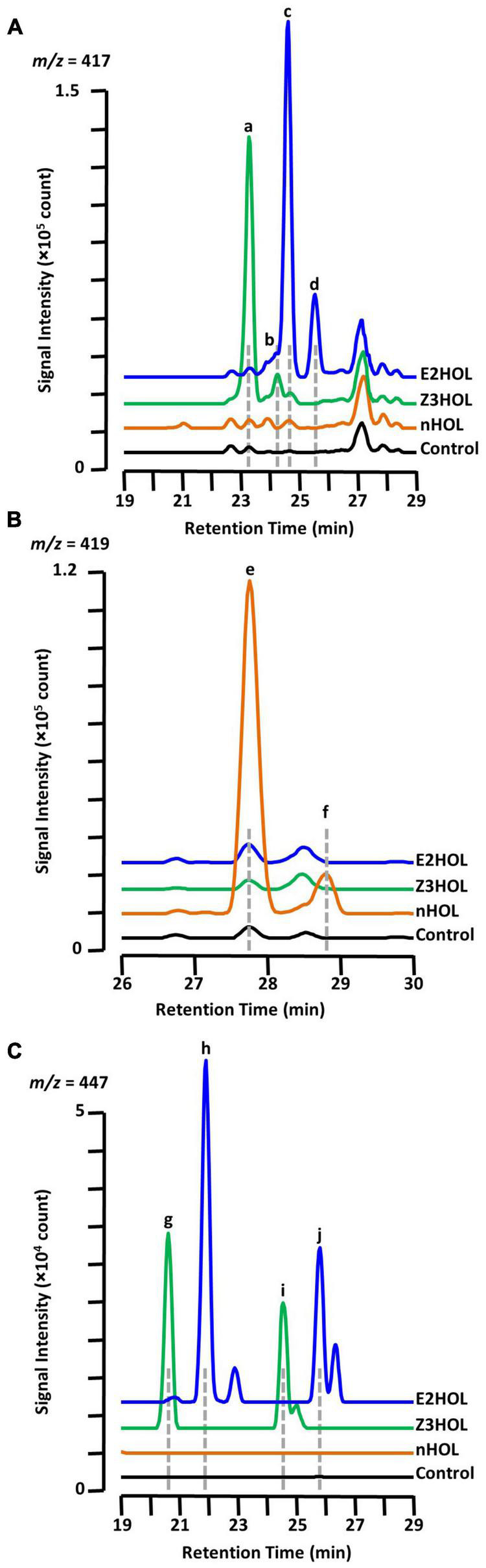 FIGURE 3