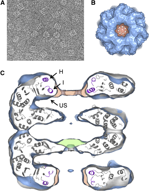 Figure 1