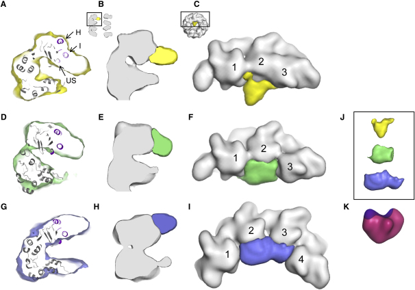 Figure 4