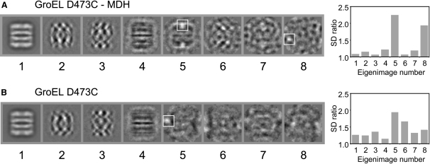 Figure 2