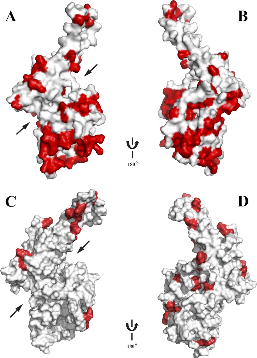 FIGURE 10.