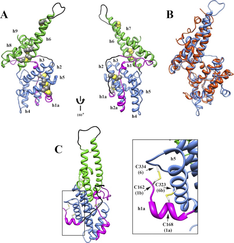 FIGURE 5.