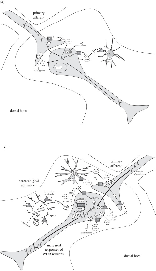 Figure 1.